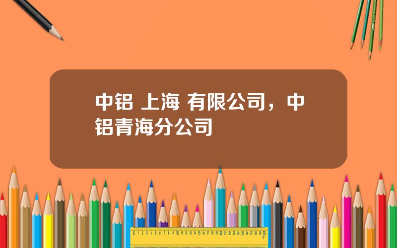 中铝 上海 有限公司，中铝青海分公司